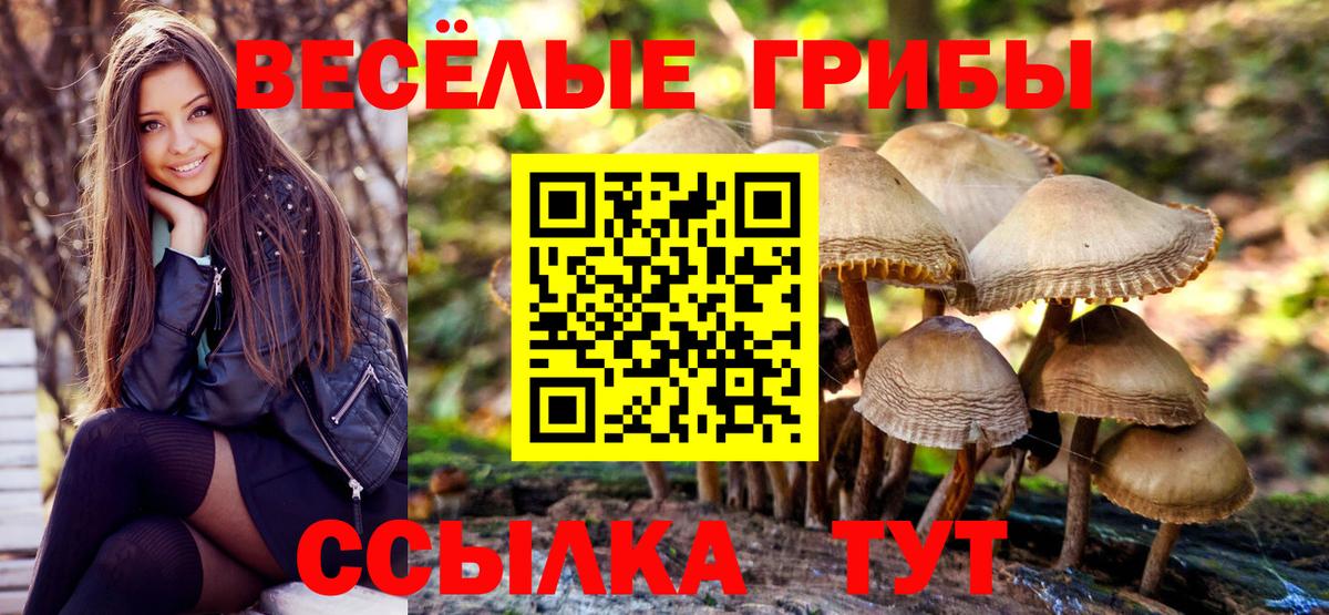 Галлюциногенные грибы ЛСД Домодедово