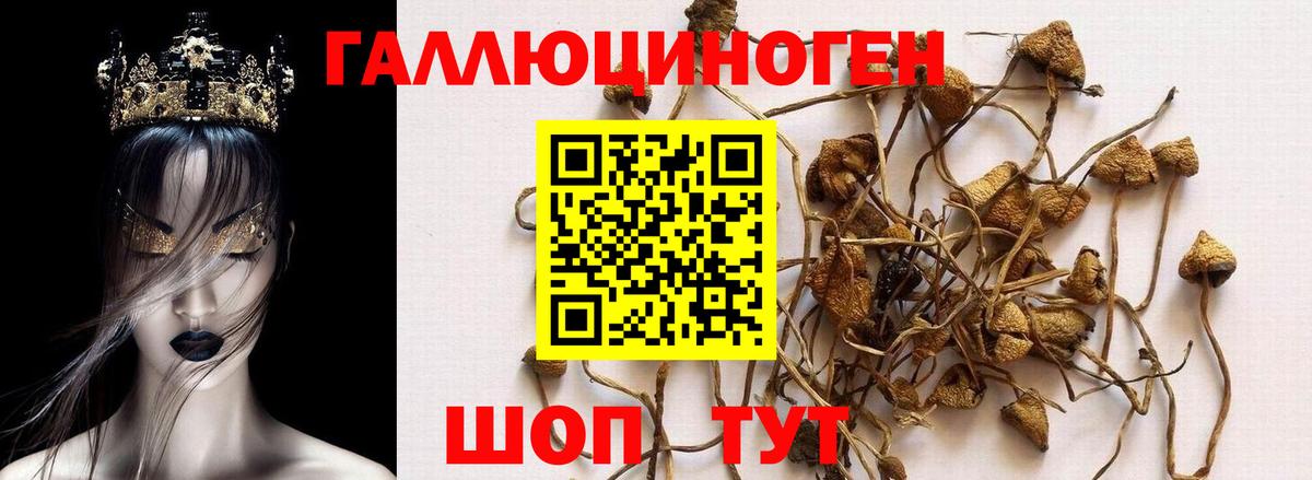 Псилоцибиновые грибы MAGIC MUSHROOMS  Вход с VPN  Домодедово  Галлюциногенные грибы мицелий 